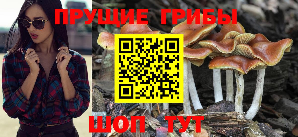 Псилоцибиновые грибы MAGIC MUSHROOMS Гулькевичи